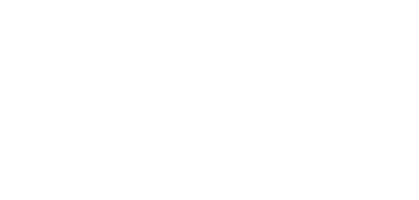 VSI SVOI